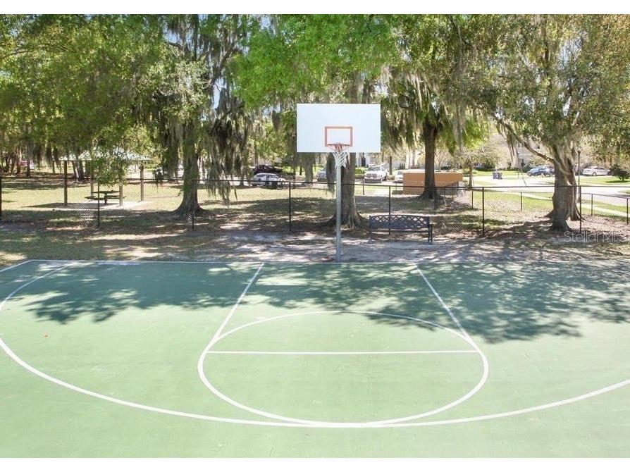17433 New Cross Circle Lithia FL 33547 TB8512609 image37