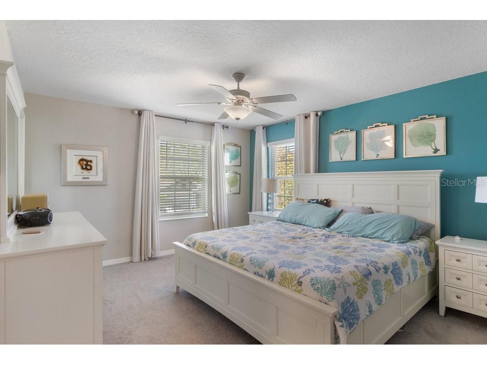 17434 Cruiser Bend Land O Lakes FL 34638 W7880141 image17