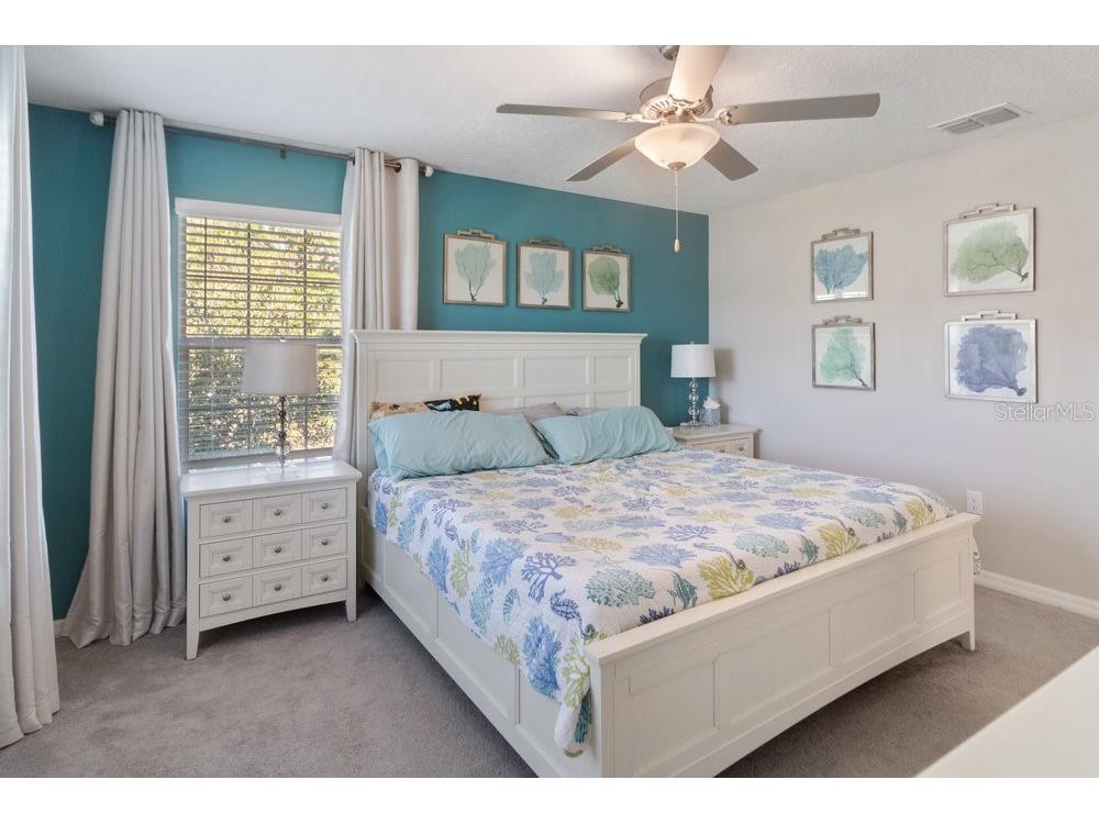 17434 Cruiser Bend Land O Lakes FL 34638 W7880141 image18