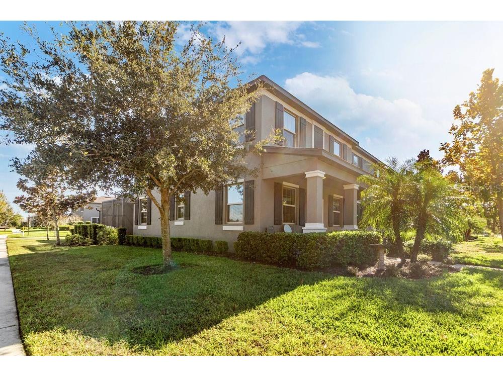 17434 Cruiser Bend Land O Lakes FL 34638 W7880141 image2