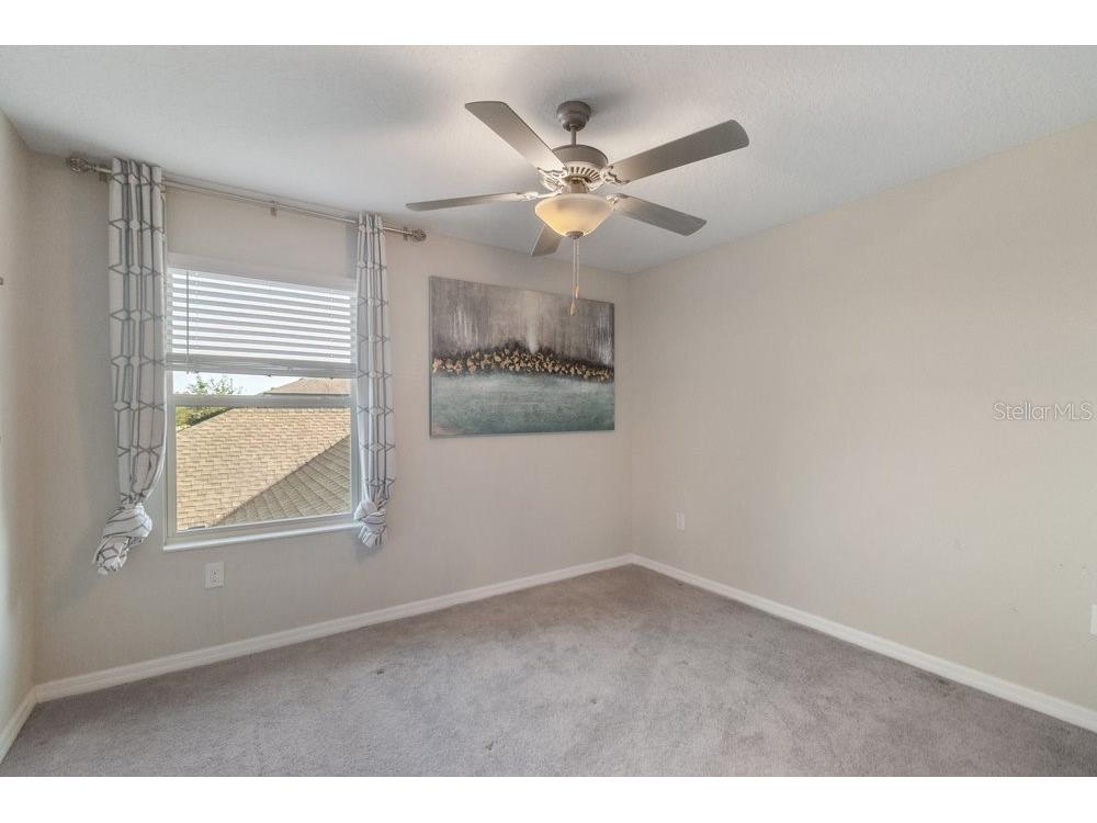 17434 Cruiser Bend Land O Lakes FL 34638 W7880141 image23