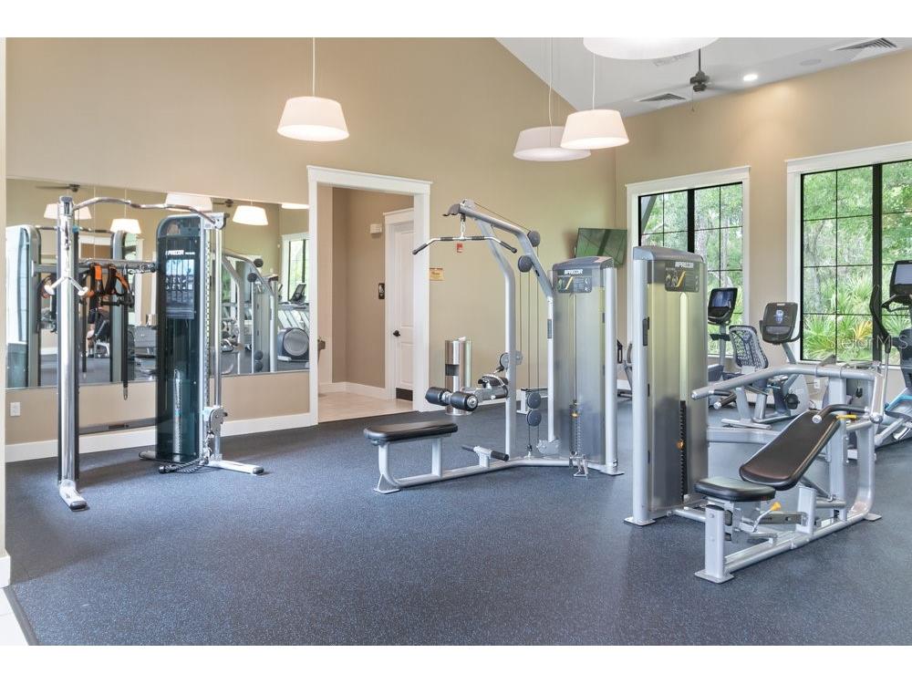 17434 Cruiser Bend Land O Lakes FL 34638 W7880141 image31