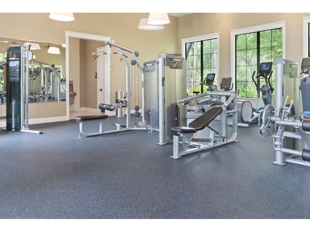 17434 Cruiser Bend Land O Lakes FL 34638 W7880141 image32