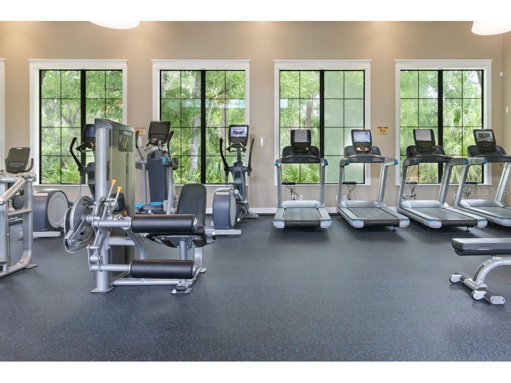 17434 Cruiser Bend Land O Lakes FL 34638 W7880141 image33