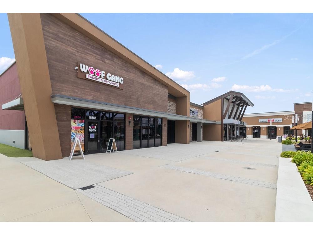 17434 Cruiser Bend Land O Lakes FL 34638 W7880141 image37