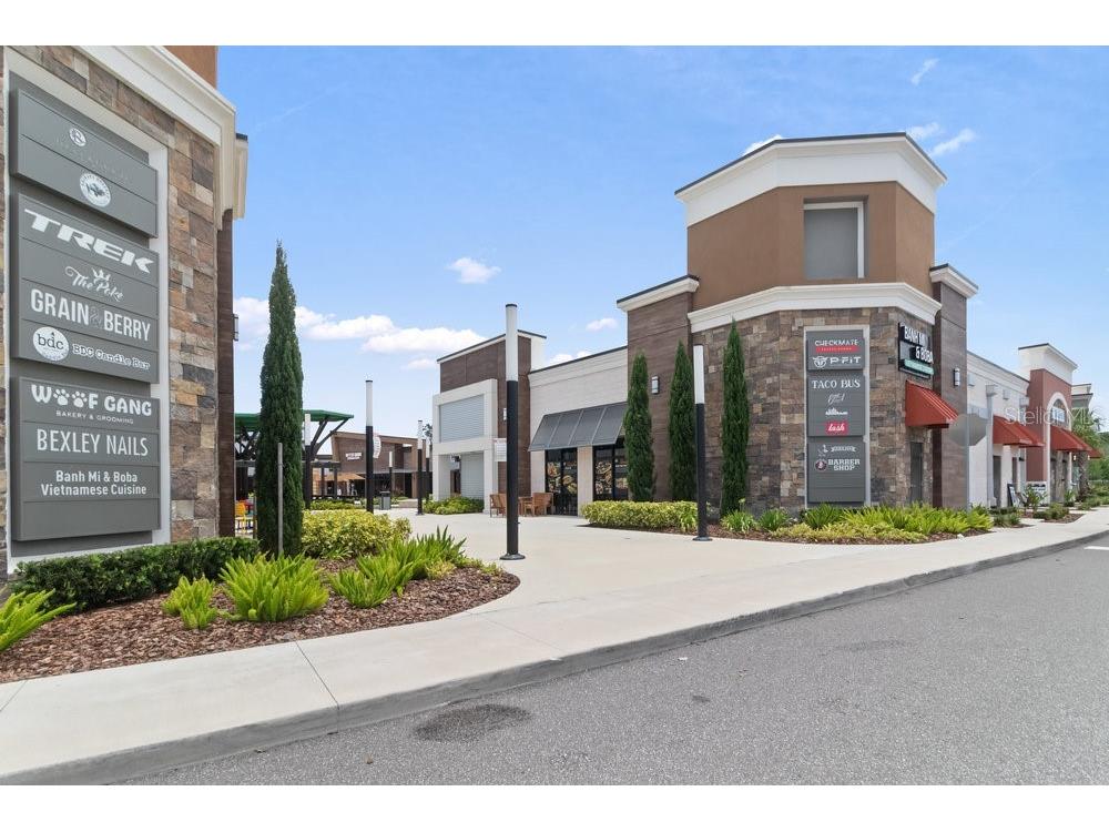 17434 Cruiser Bend Land O Lakes FL 34638 W7880141 image42