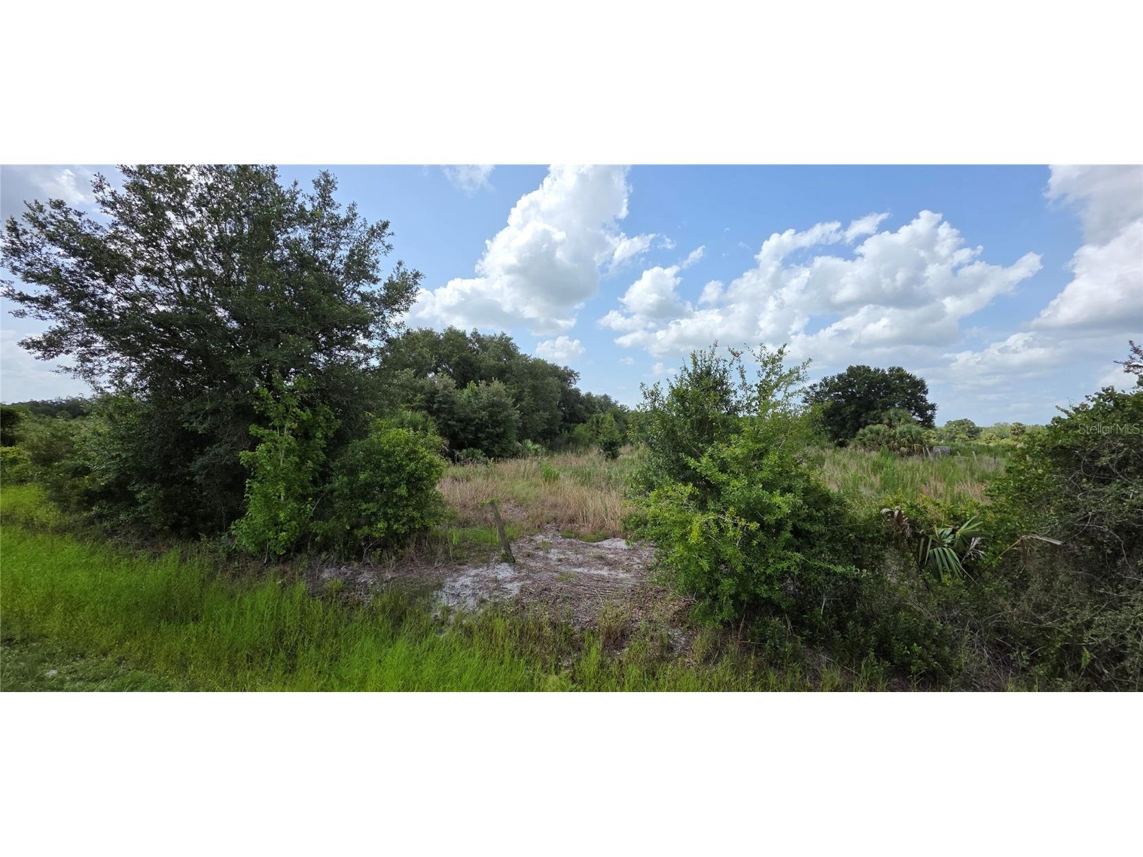 17435 NW 280th Street Okeechobee FL 34972 OK225286 image2