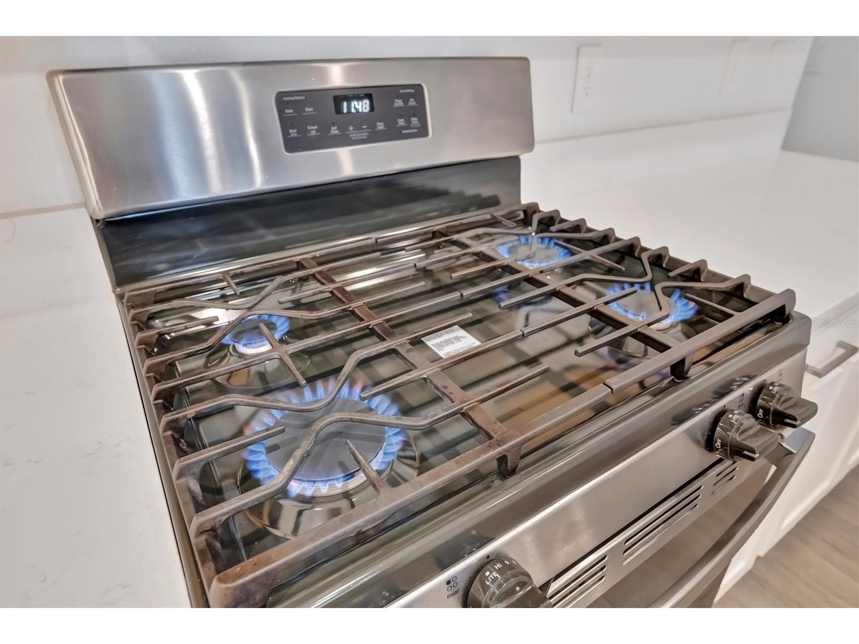 17436 Holly Well Avenue Wimauma FL 33598 A4685390 image10