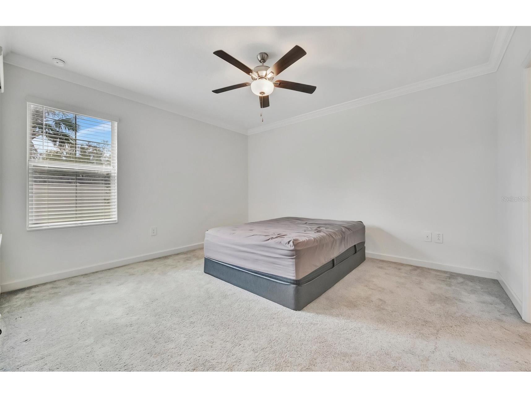 17436 Holly Well Avenue Wimauma FL 33598 A4685390 image20