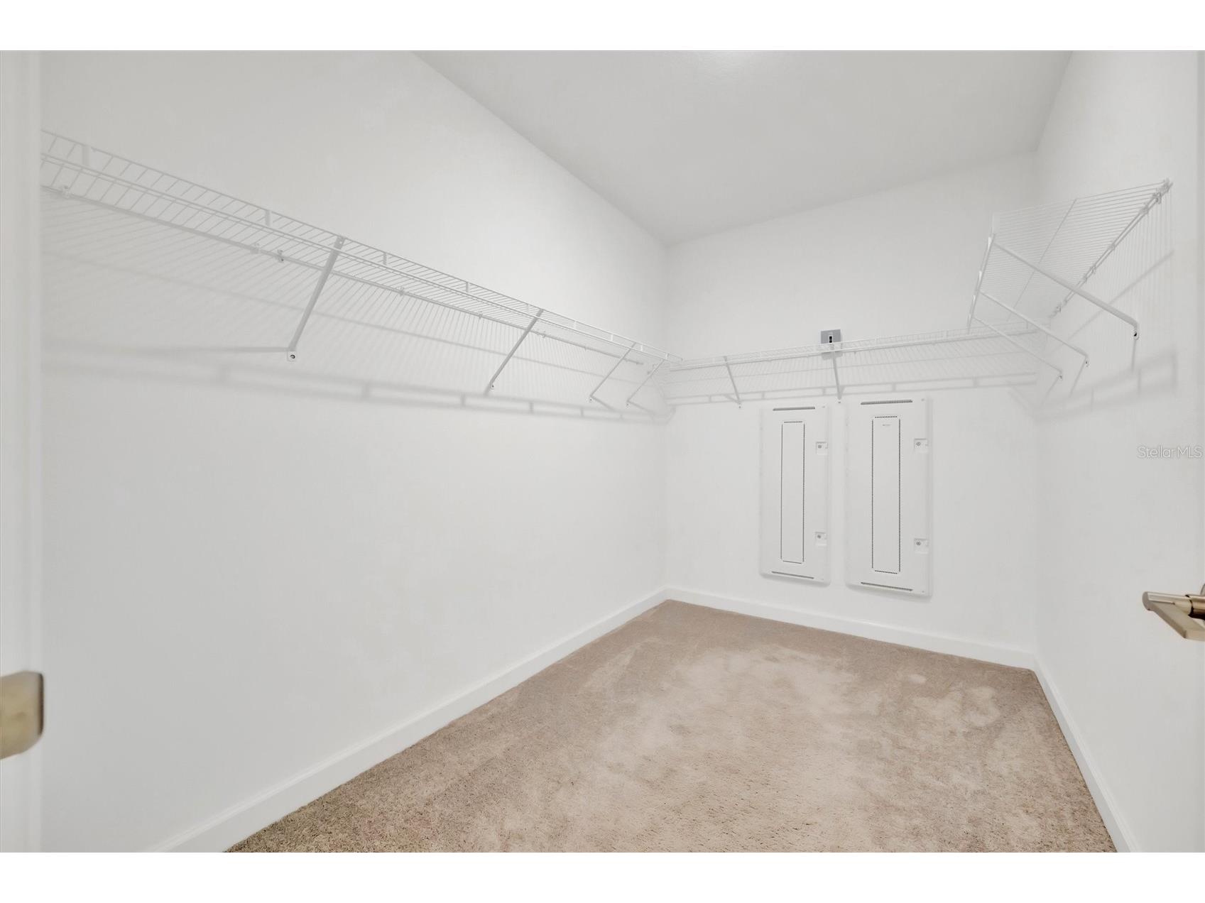 17436 Holly Well Avenue Wimauma FL 33598 A4685390 image26
