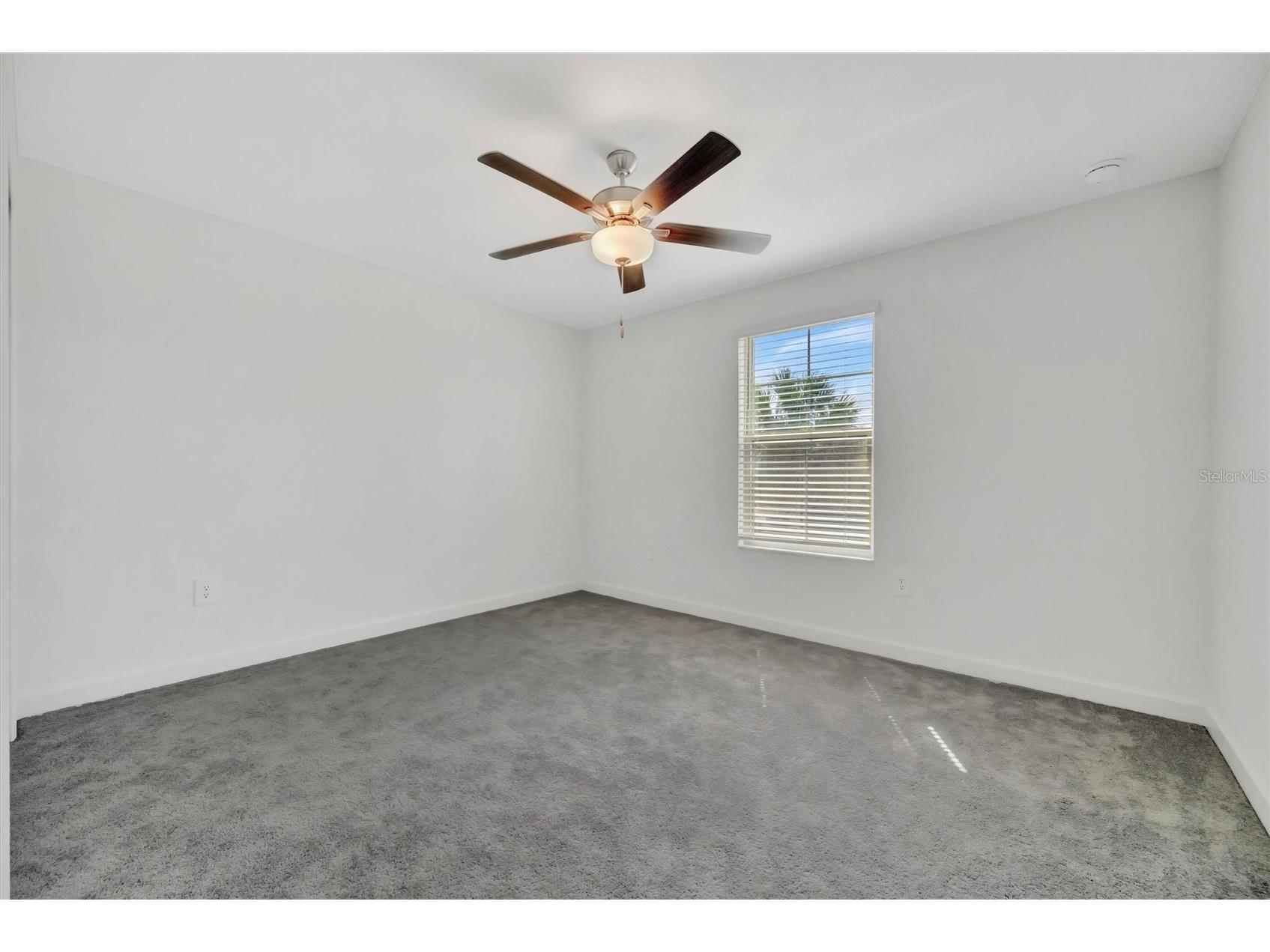 17436 Holly Well Avenue Wimauma FL 33598 A4685390 image29