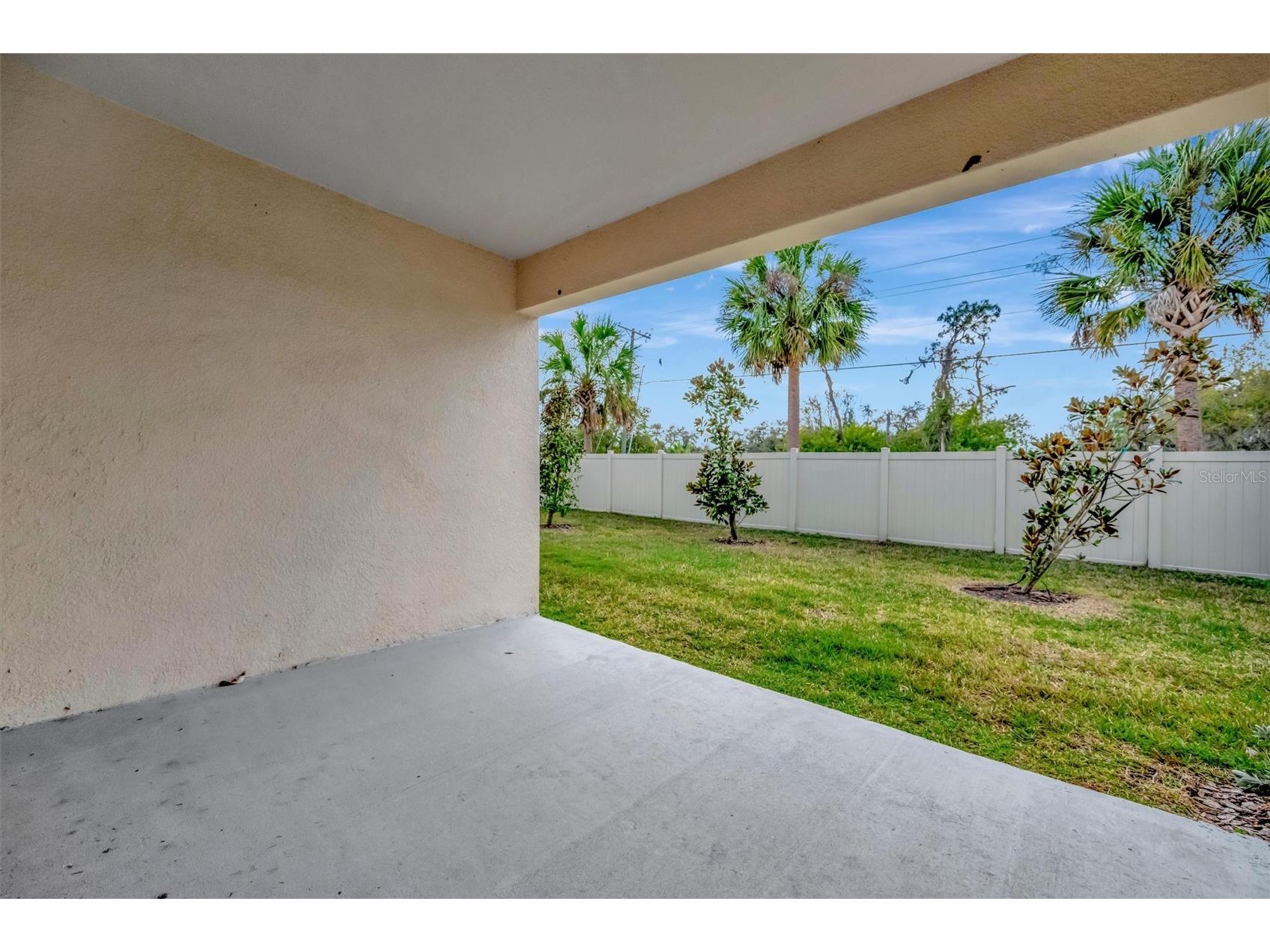 17436 Holly Well Avenue Wimauma FL 33598 A4685390 image38