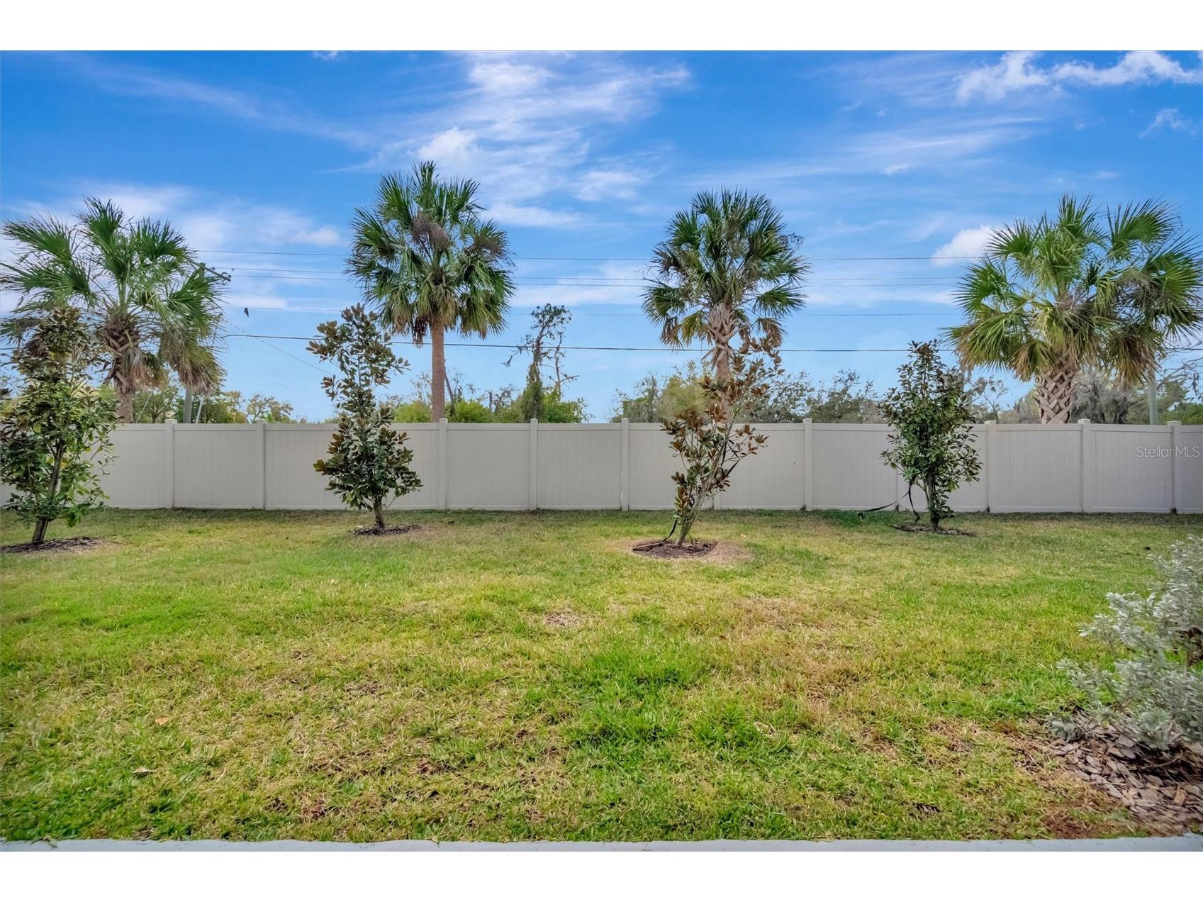 17436 Holly Well Avenue Wimauma FL 33598 A4685390 image41
