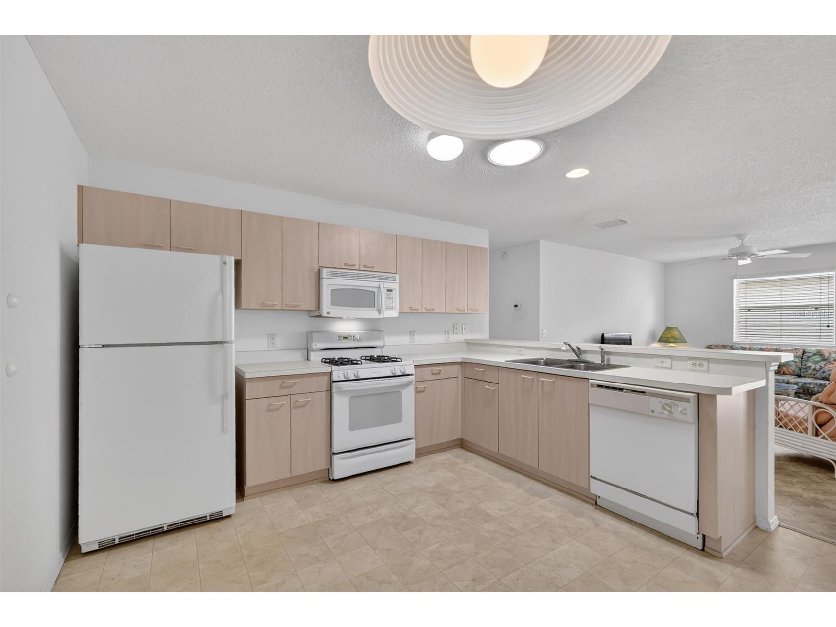 17436 SE 81st Newberry Court The Villages FL 32162 G5113253 image6