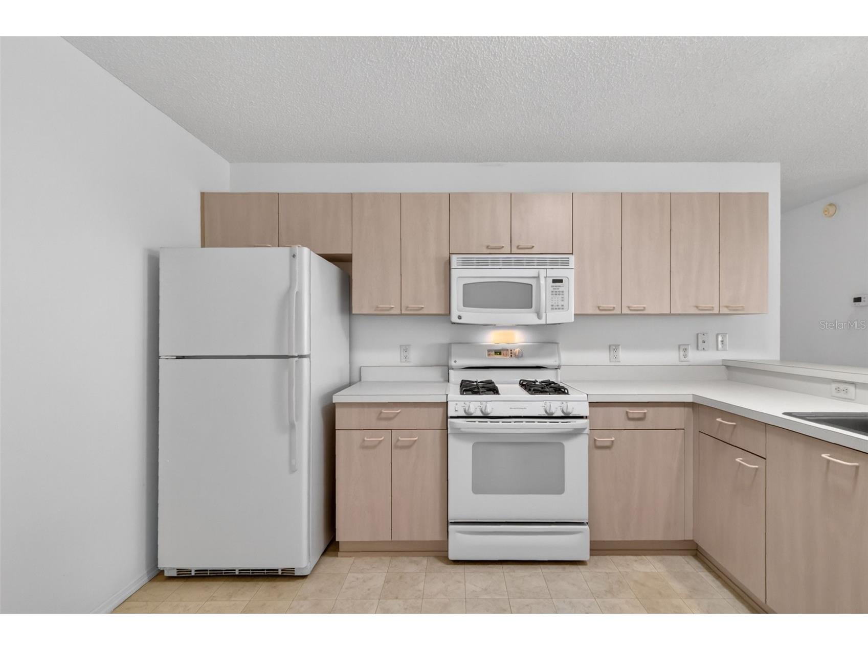 17436 SE 81st Newberry Court The Villages FL 32162 G5113253 image8