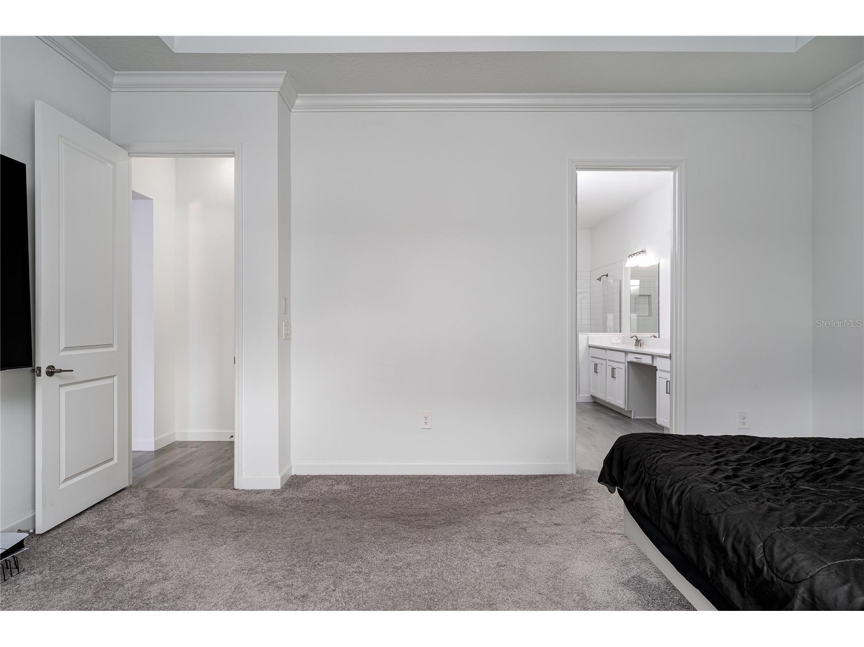 17439 Holly Well Avenue Wimauma FL 33598 A4695754 image16