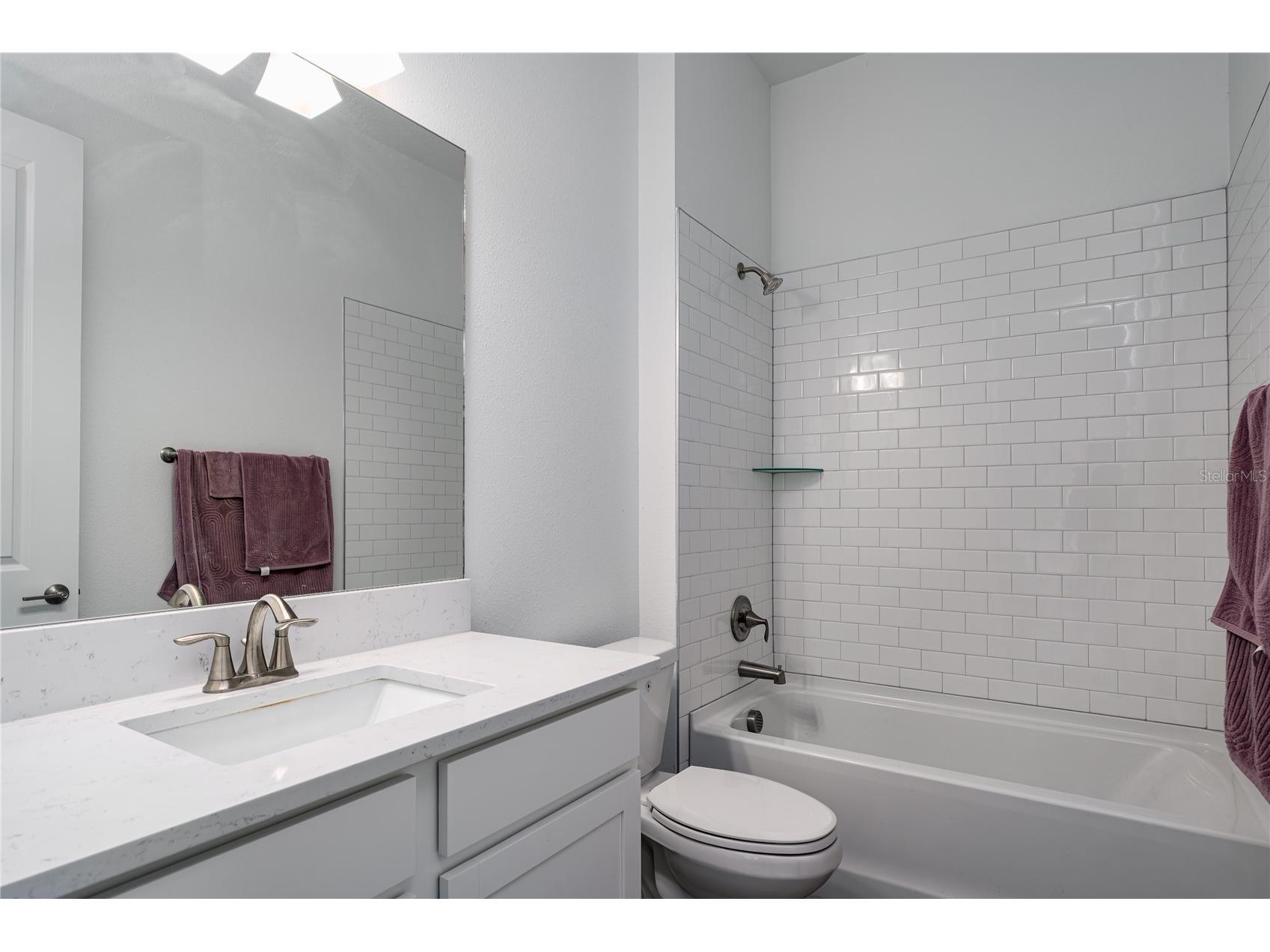 17439 Holly Well Avenue Wimauma FL 33598 A4695754 image20