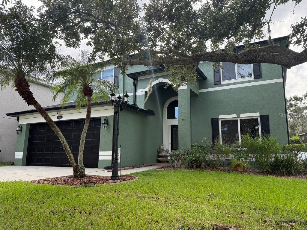 1744 Mapleleaf Blvd Oldsmar FL 34677 TB8434852 image22