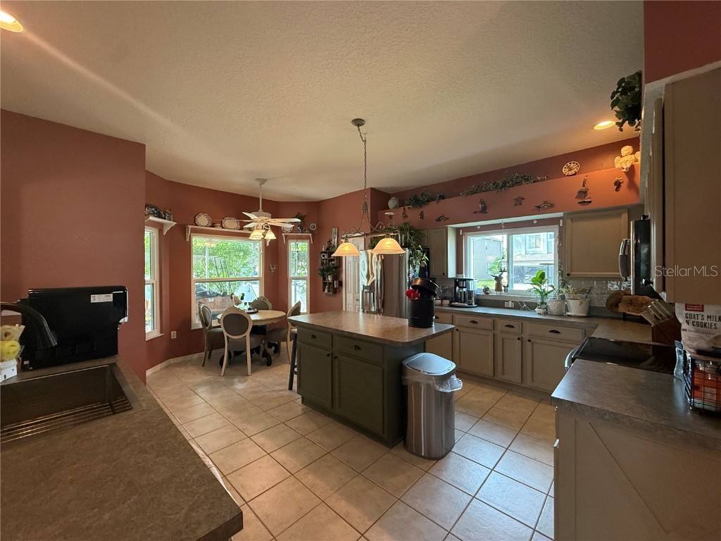 1744 Mapleleaf Blvd Oldsmar FL 34677 TB8434852 image8