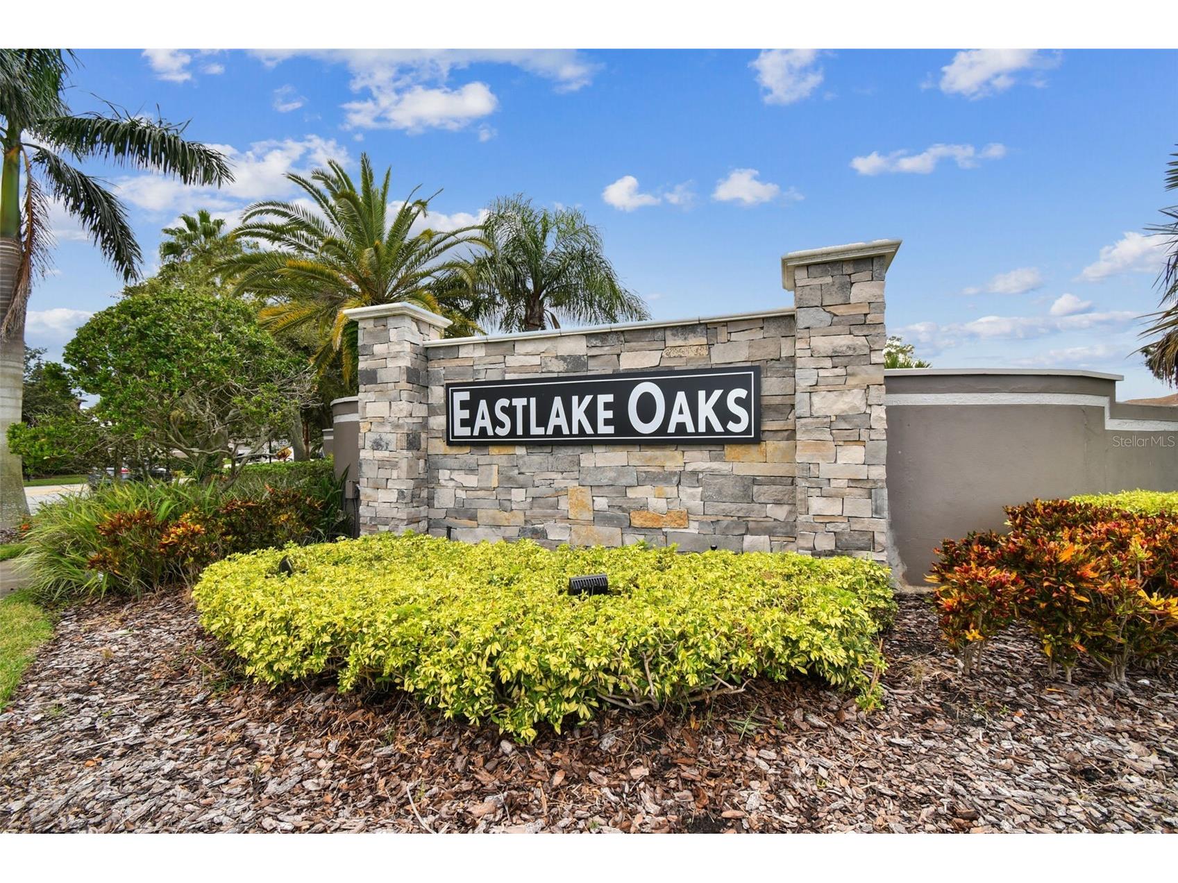 1744 Mapleleaf Boulevard Oldsmar FL 34677 W7883065 image2