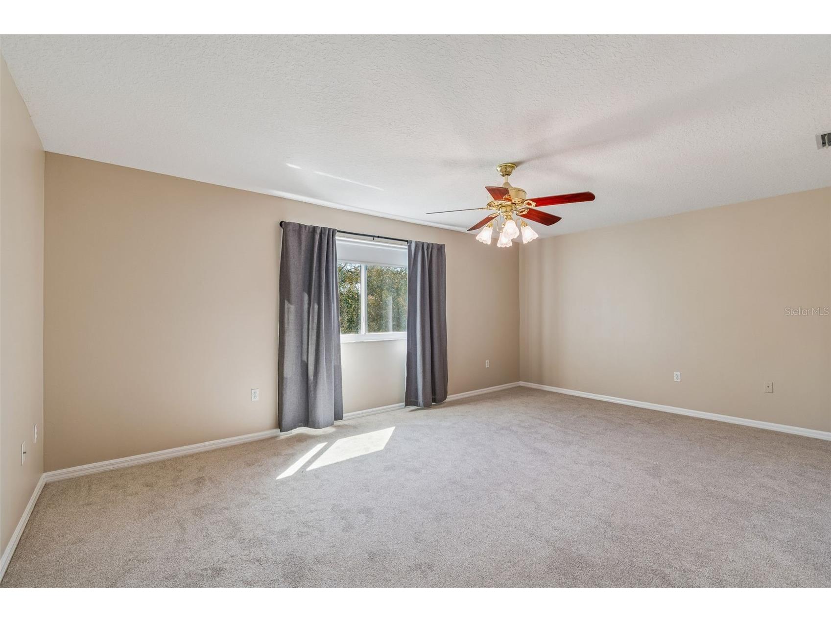 1744 Mapleleaf Boulevard Oldsmar FL 34677 W7883065 image48