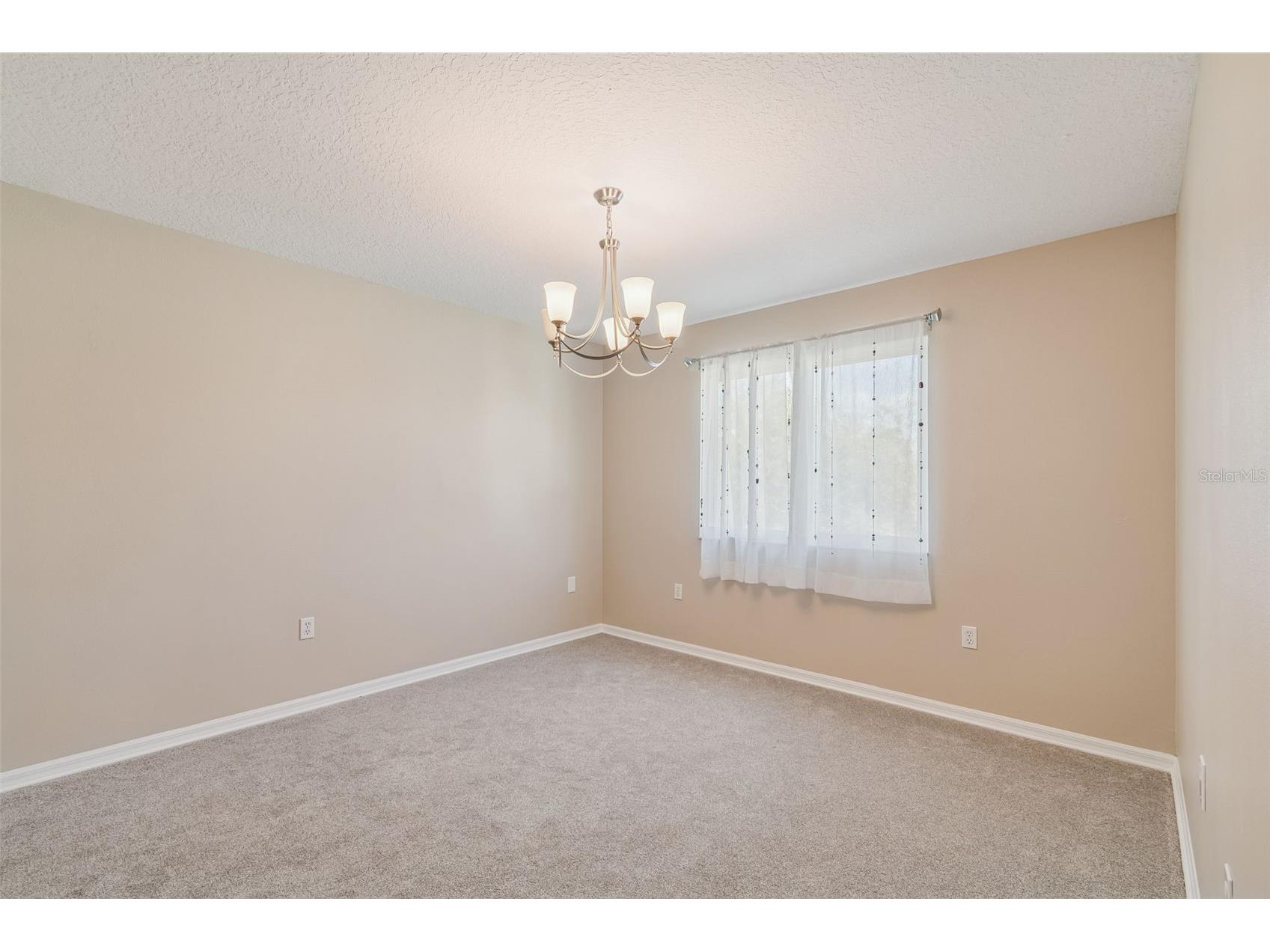 1744 Mapleleaf Boulevard Oldsmar FL 34677 W7883065 image56