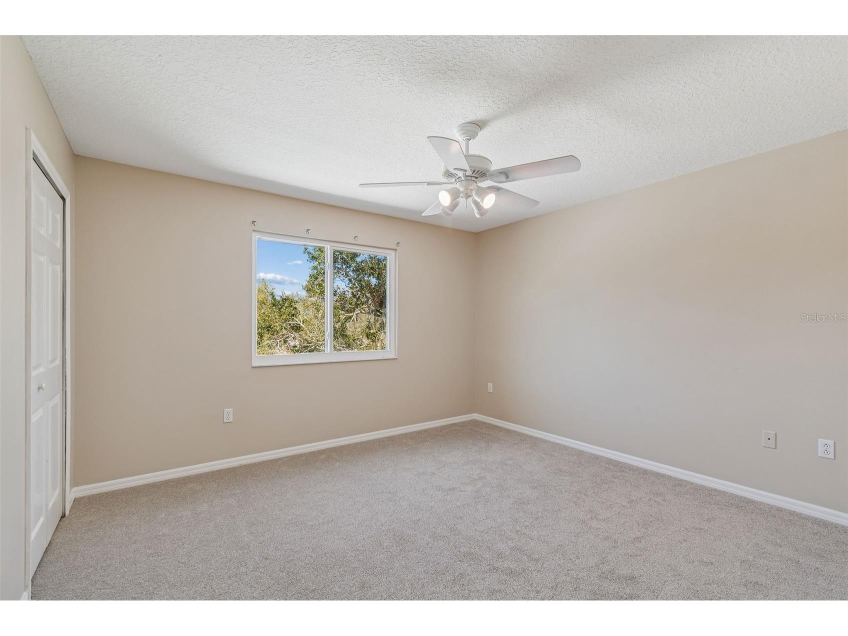 1744 Mapleleaf Boulevard Oldsmar FL 34677 W7883065 image60