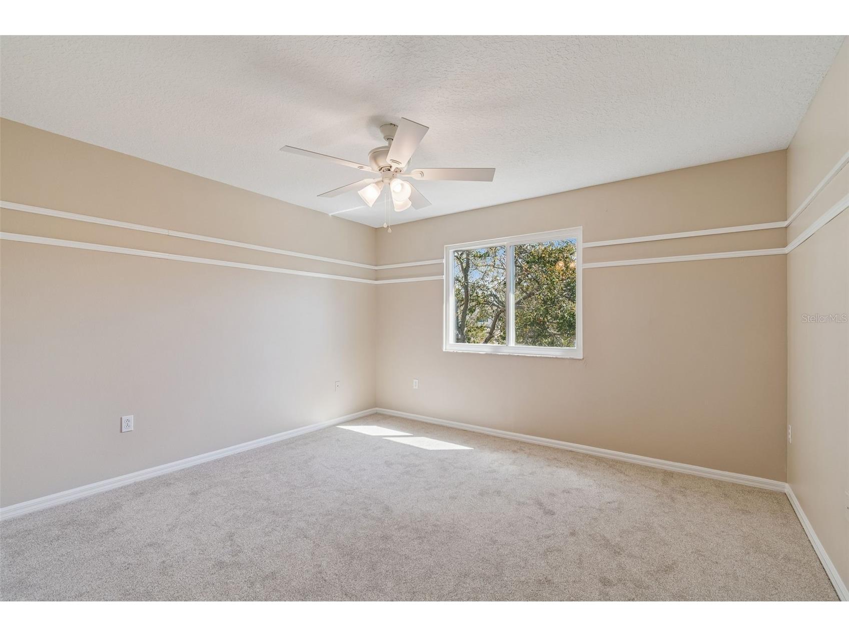 1744 Mapleleaf Boulevard Oldsmar FL 34677 W7883065 image66