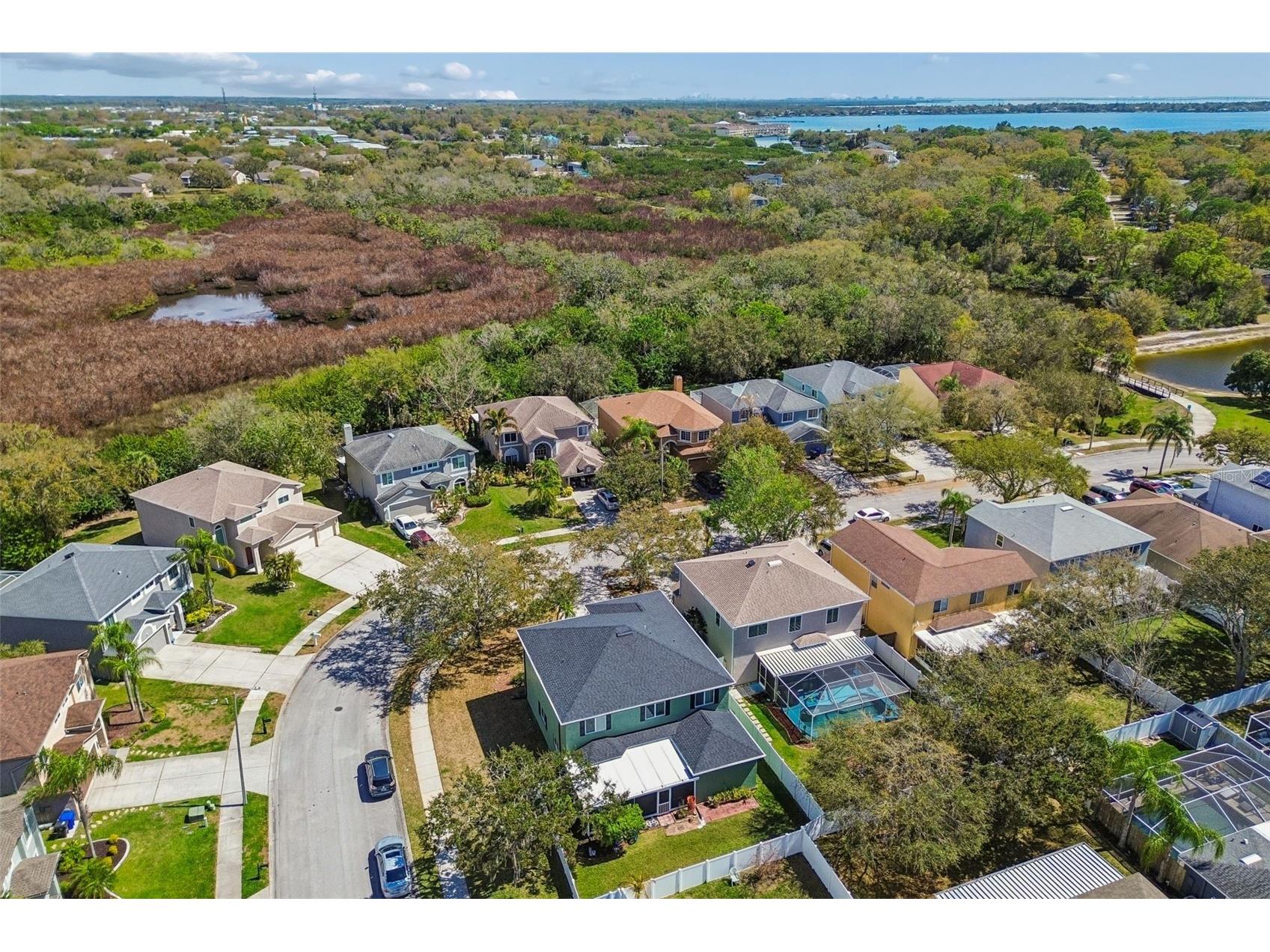 1744 Mapleleaf Boulevard Oldsmar FL 34677 W7883065 image82