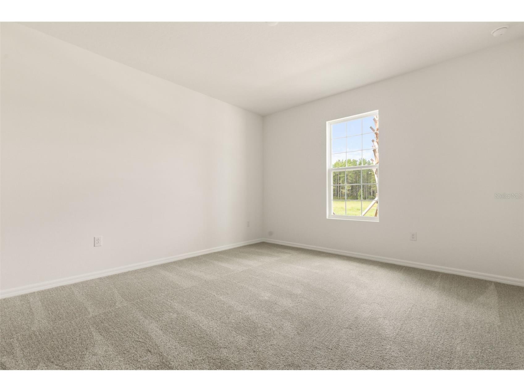 17441 Valleywood Parkway Land O Lakes FL 34638 G5107691 image20