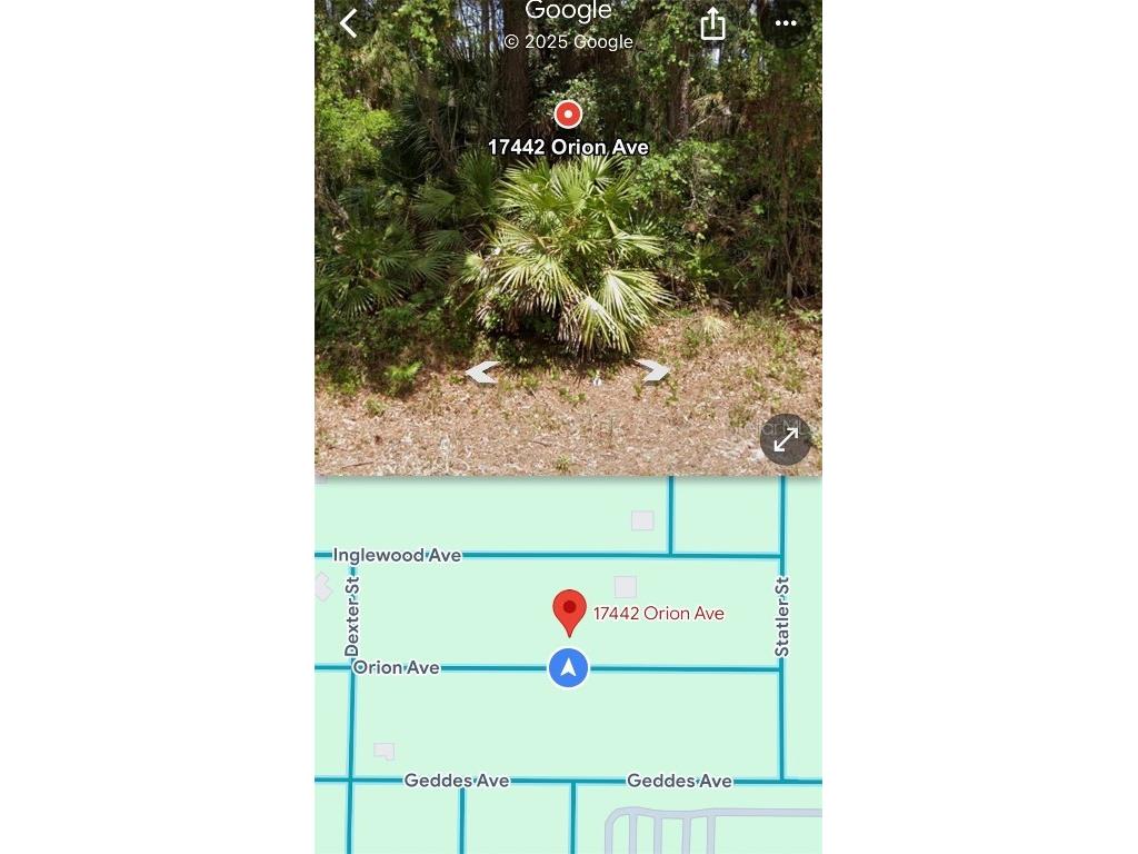 17442 Orion Avenue Port Charlotte FL 33954 D6144622 image6