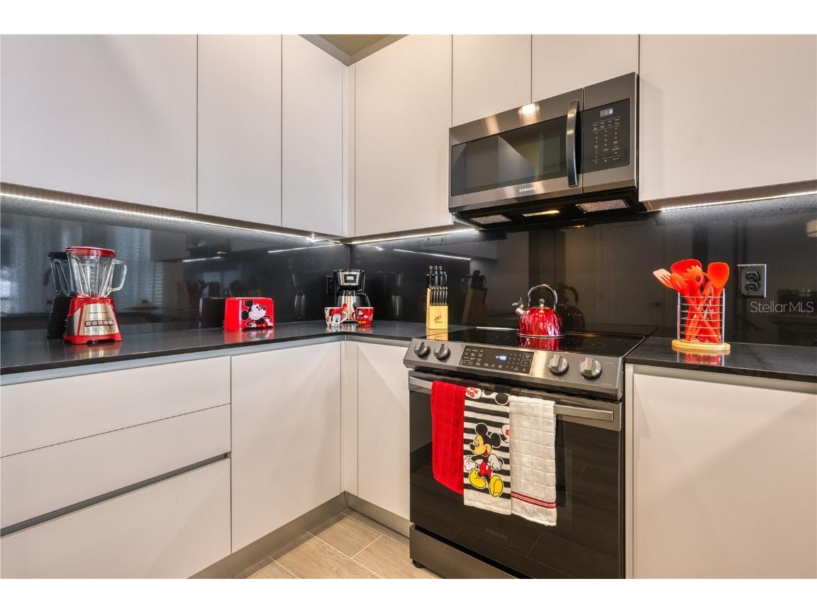 17444 Hidden Forest Drive Clermont FL 34714 O6327941 image9