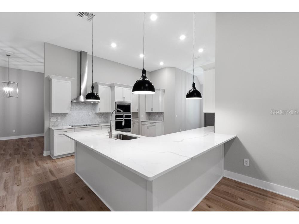 17444 Nokota Avenue Hudson FL 34667 TB8373376 image6