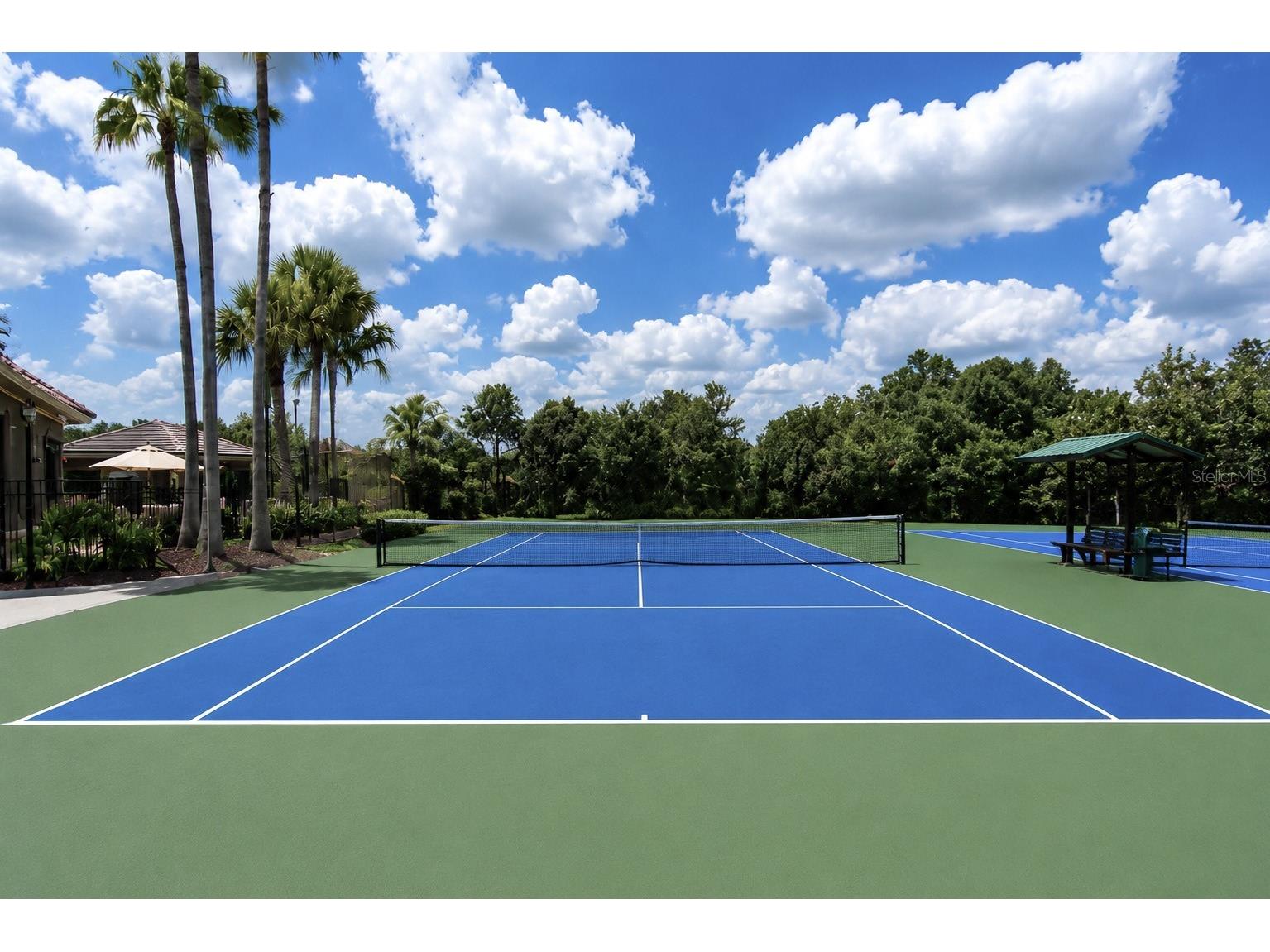 17446 Queensland Street Land O Lakes FL 34638 TB8512614 image48