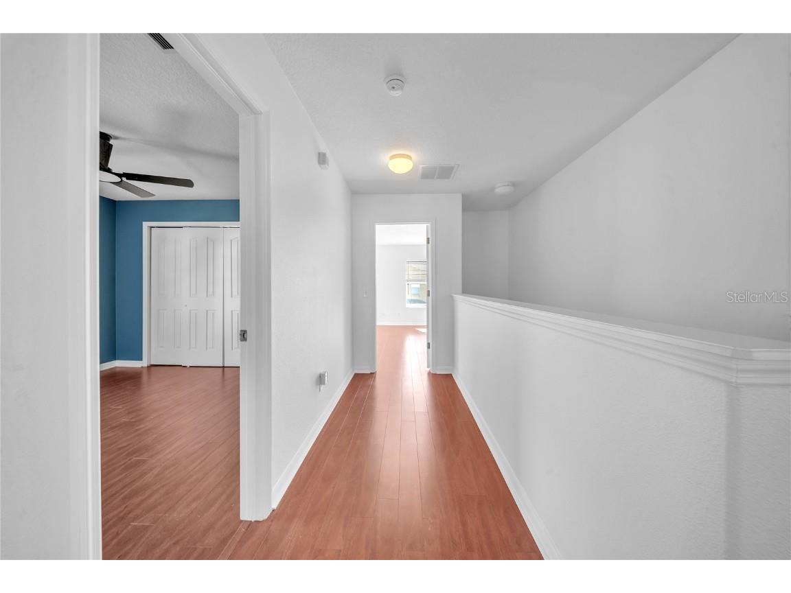 17446 Queensland Street Land O Lakes FL 34638 W7881003 image19