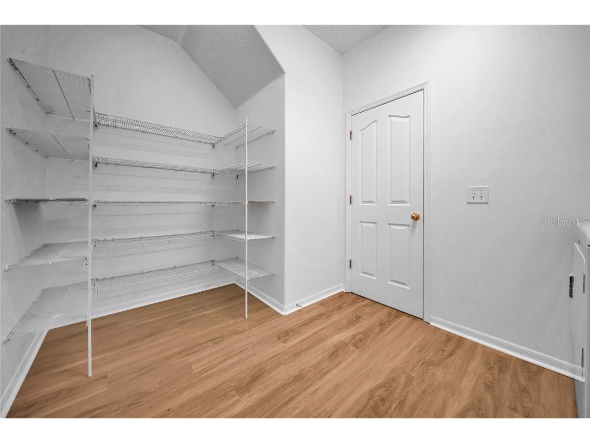 17446 Queensland Street Land O Lakes FL 34638 W7881003 image23