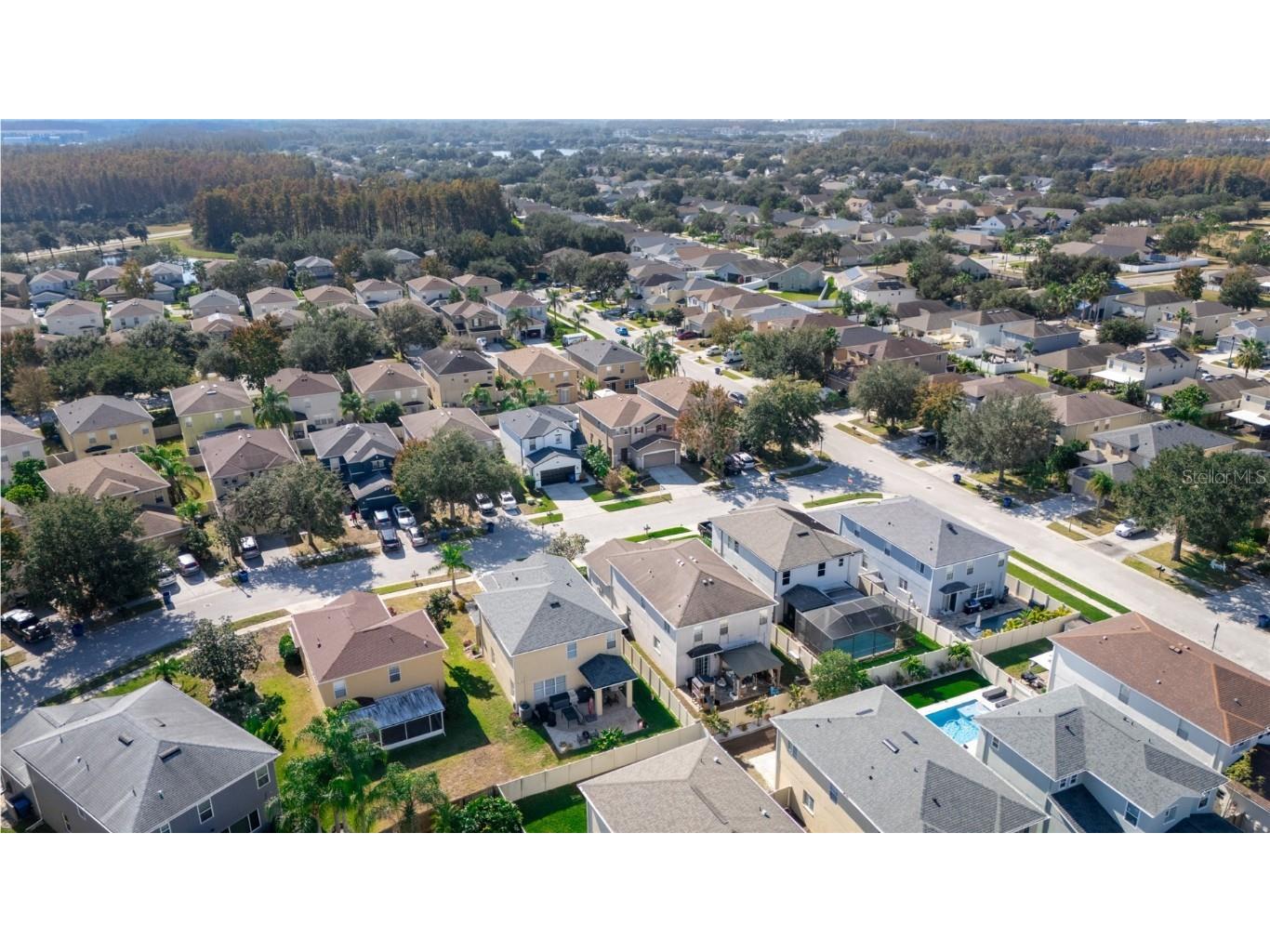 17446 Queensland Street Land O Lakes FL 34638 W7881003 image48