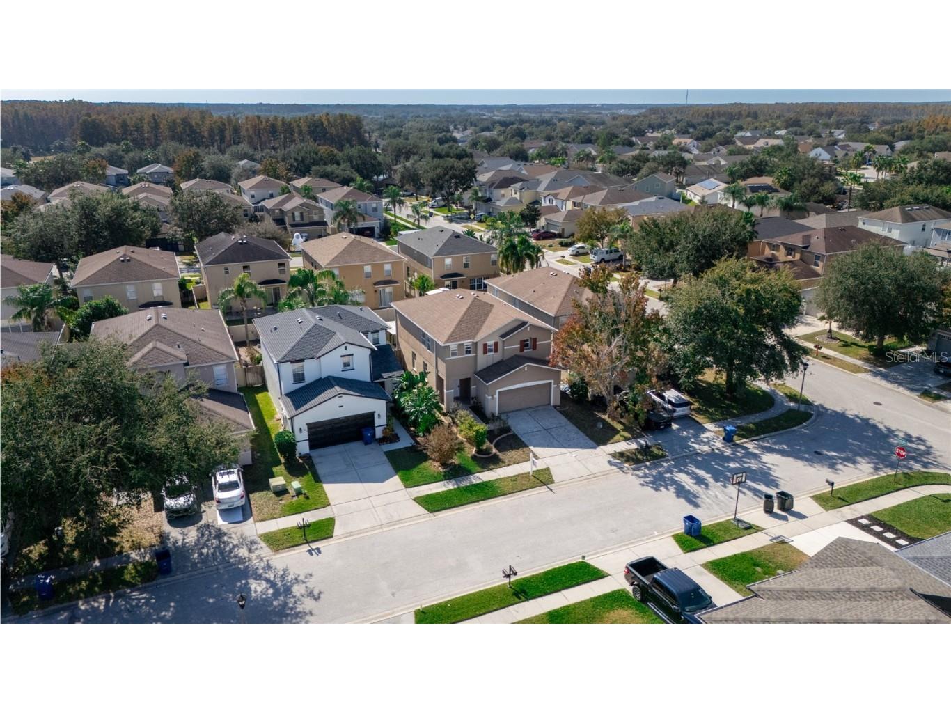 17446 Queensland Street Land O Lakes FL 34638 W7881003 image49