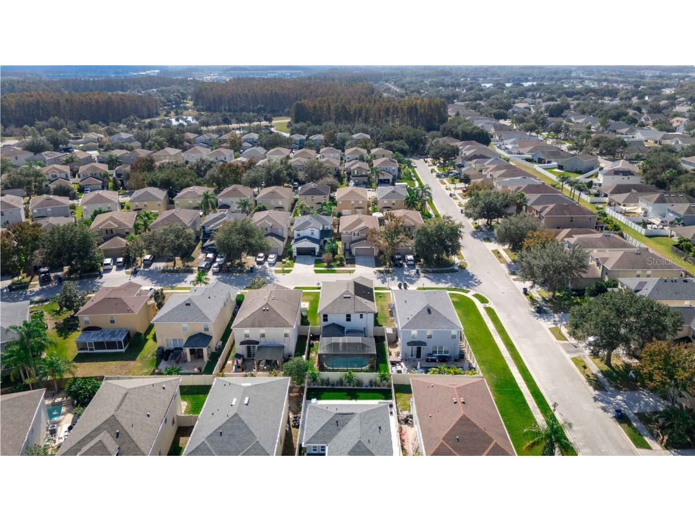 17446 Queensland Street Land O Lakes FL 34638 W7881003 image50