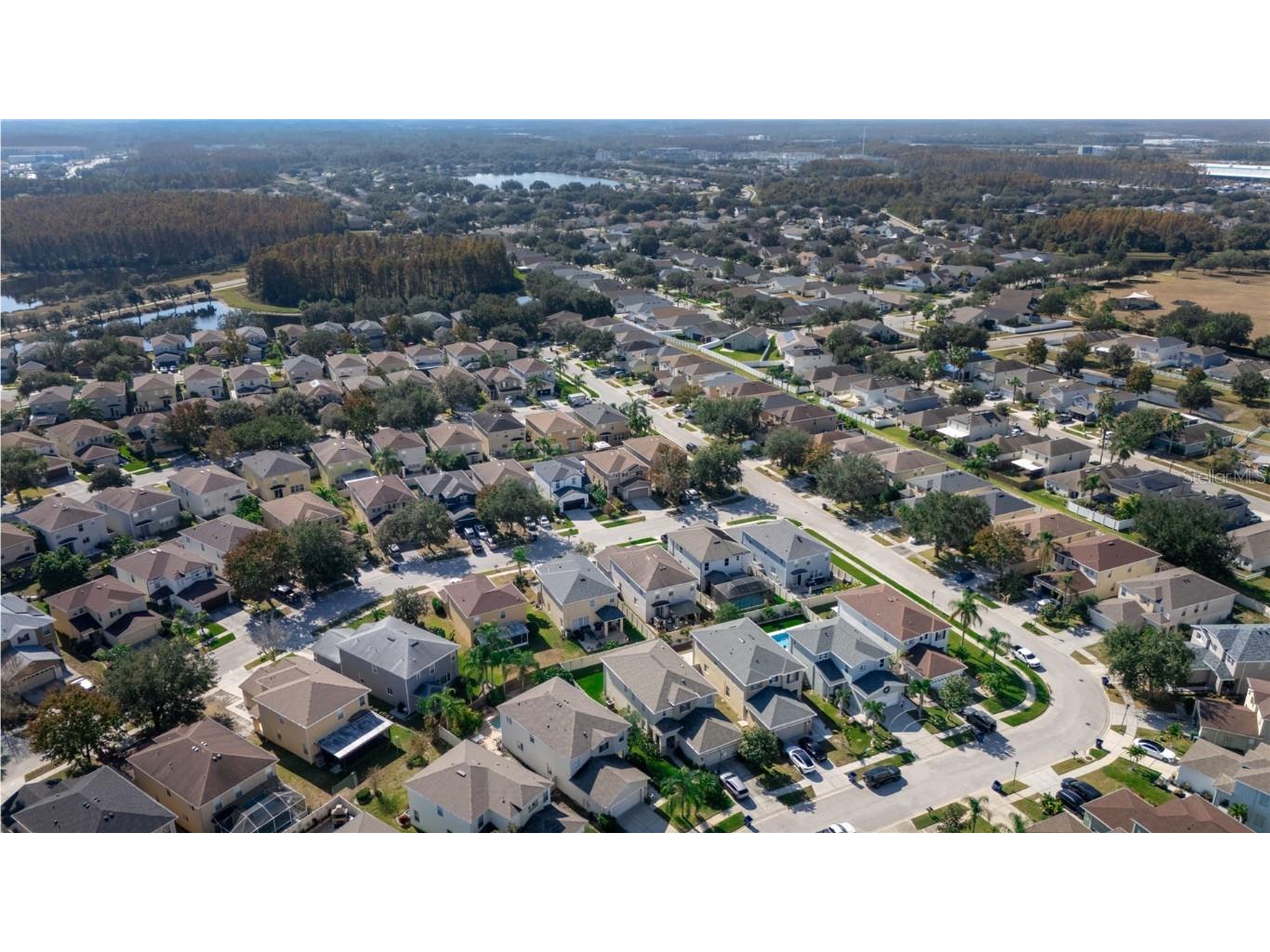 17446 Queensland Street Land O Lakes FL 34638 W7881003 image51