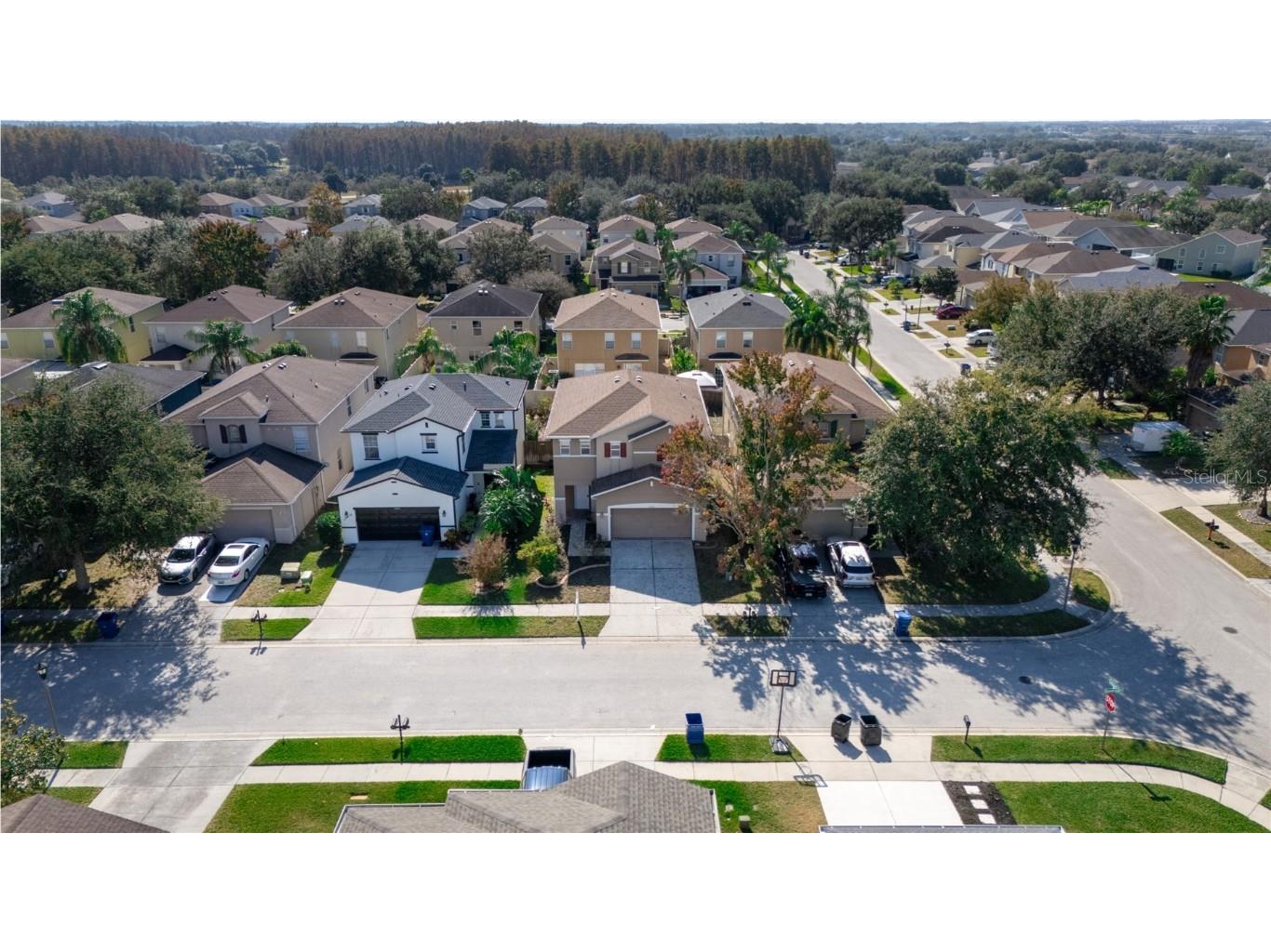 17446 Queensland Street Land O Lakes FL 34638 W7881003 image52