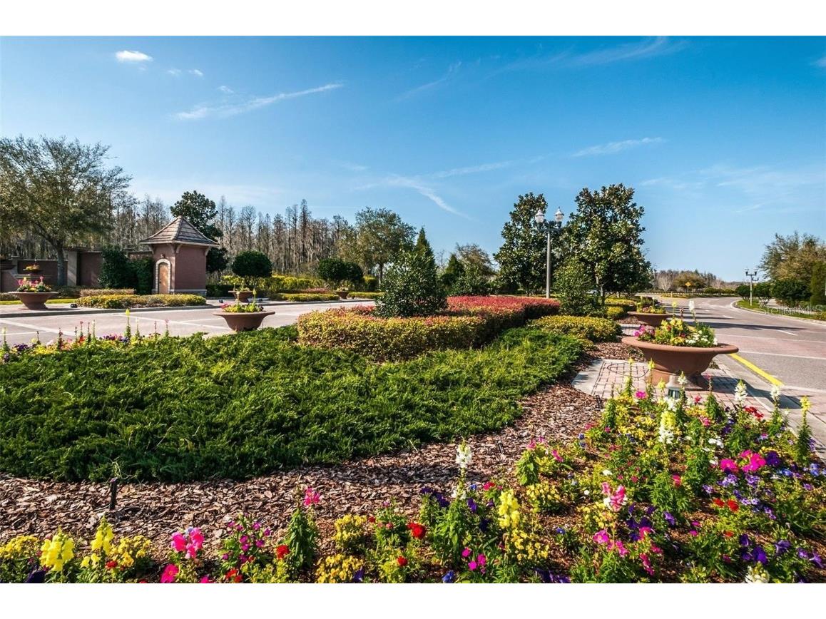 17446 Queensland Street Land O Lakes FL 34638 W7881003 image54