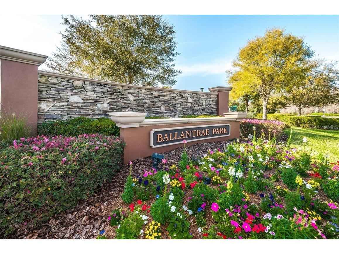 17446 Queensland Street Land O Lakes FL 34638 W7881003 image55