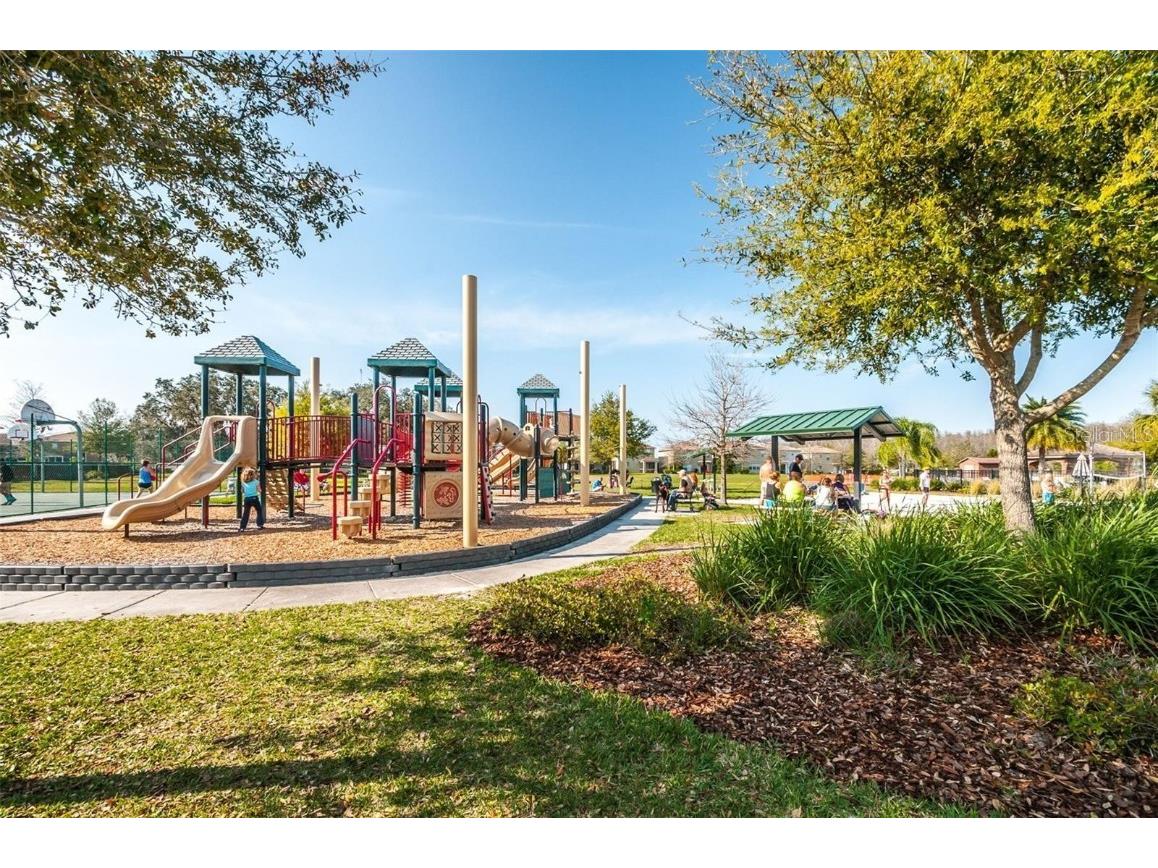 17446 Queensland Street Land O Lakes FL 34638 W7881003 image60