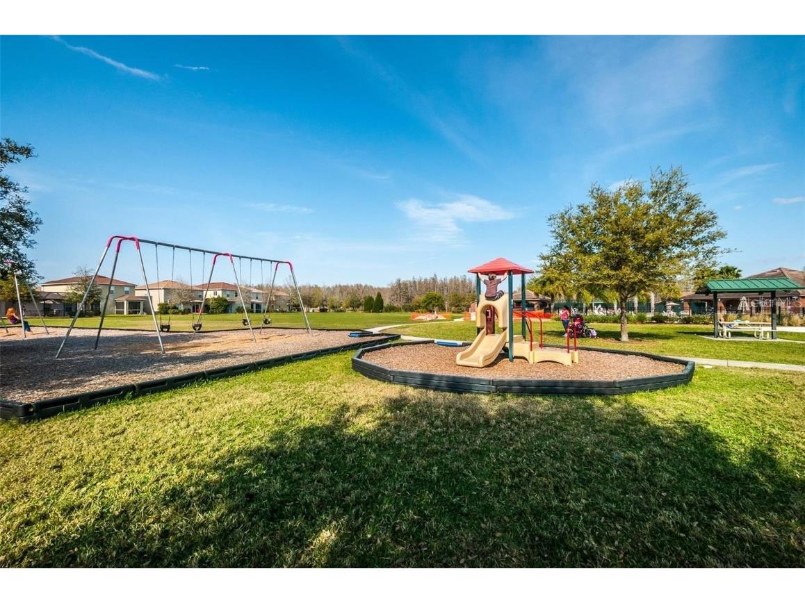 17446 Queensland Street Land O Lakes FL 34638 W7881003 image61