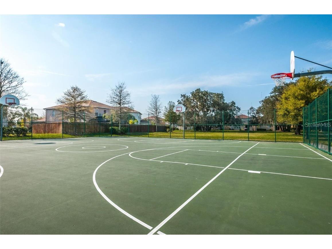 17446 Queensland Street Land O Lakes FL 34638 W7881003 image65