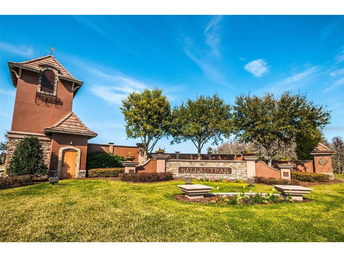 17446 Queensland Street Land O Lakes FL 34638 W7881003 image68