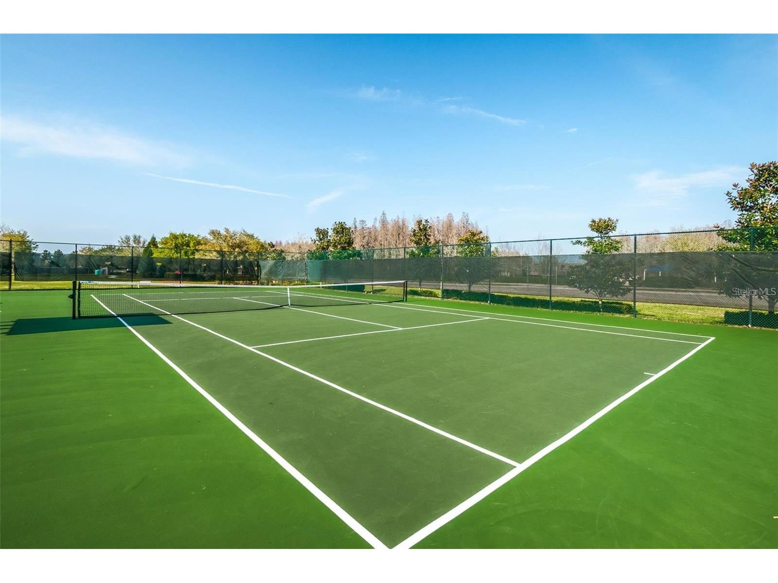 17446 Queensland Street Land O Lakes FL 34638 W7881003 image71