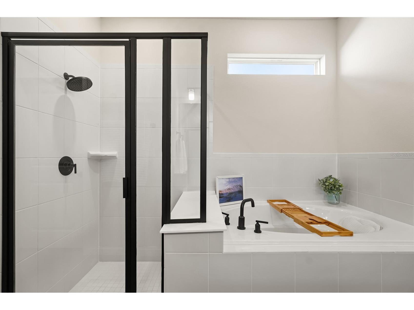 17446 Saw Palmetto Avenue Clermont FL 34714 O6425269 image20