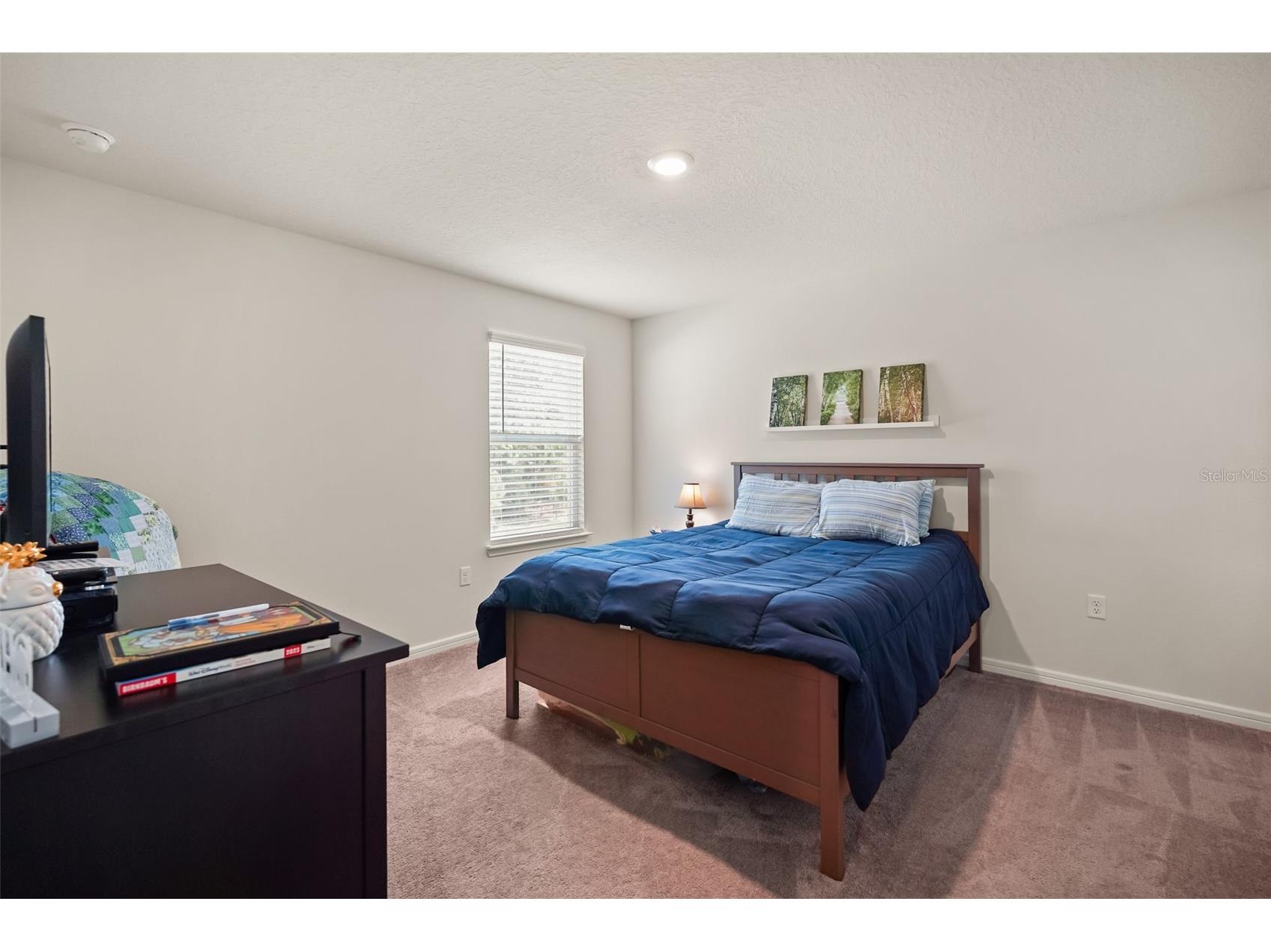 17446 Saw Palmetto Avenue Clermont FL 34714 O6425269 image27